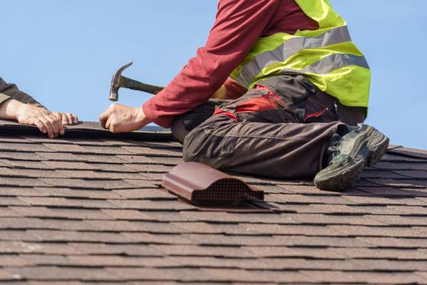 Best Metal Roofing Contractor  in Homer, MI