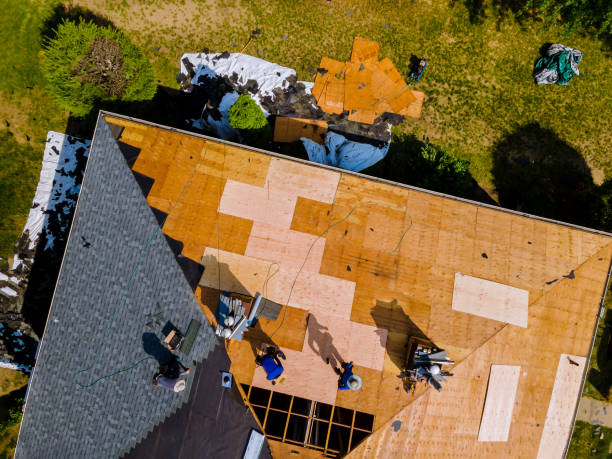 Best Roof Gutter Cleaning  in Homer, MI