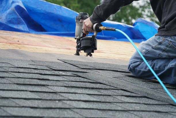 Best Roof Replacement Cost  in Homer, MI