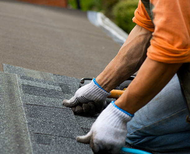 Best Gutter Installation and Roofing  in Homer, MI