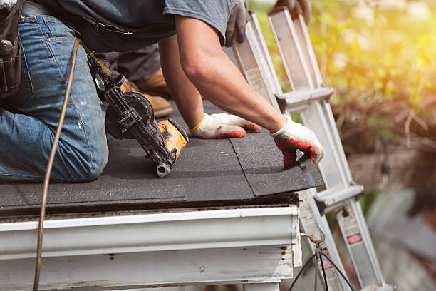 Best Roof Waterproofing Services  in Homer, MI