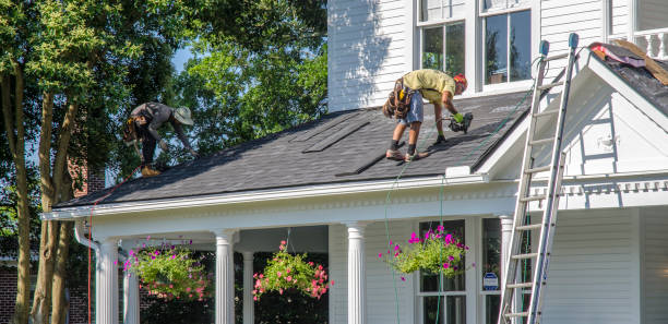 Best Storm Damage Roof Repair  in Homer, MI