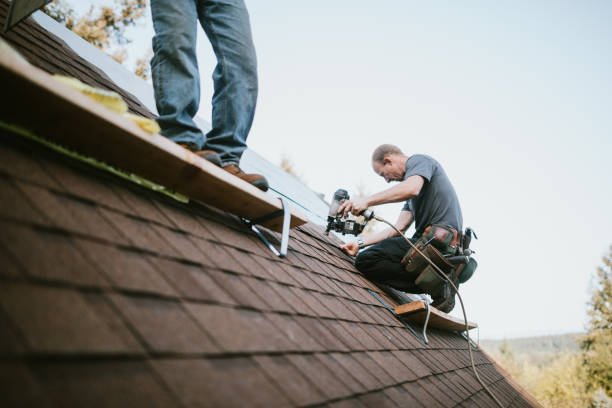 Best Roof Repair Services  in Homer, MI